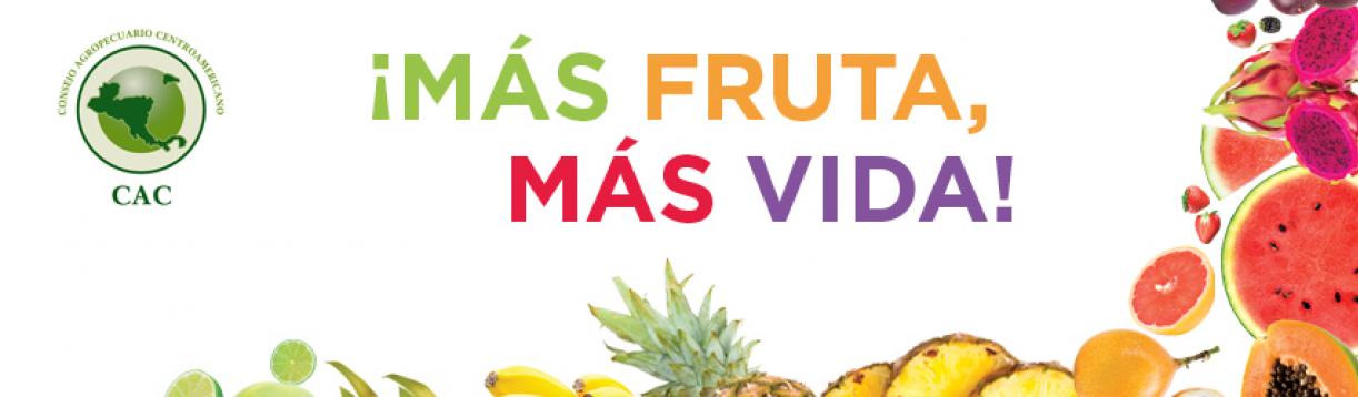 Tomaat stad snijden La importancia de fomentar la fruticultura | Consejo Agropecuario  Centroamericano